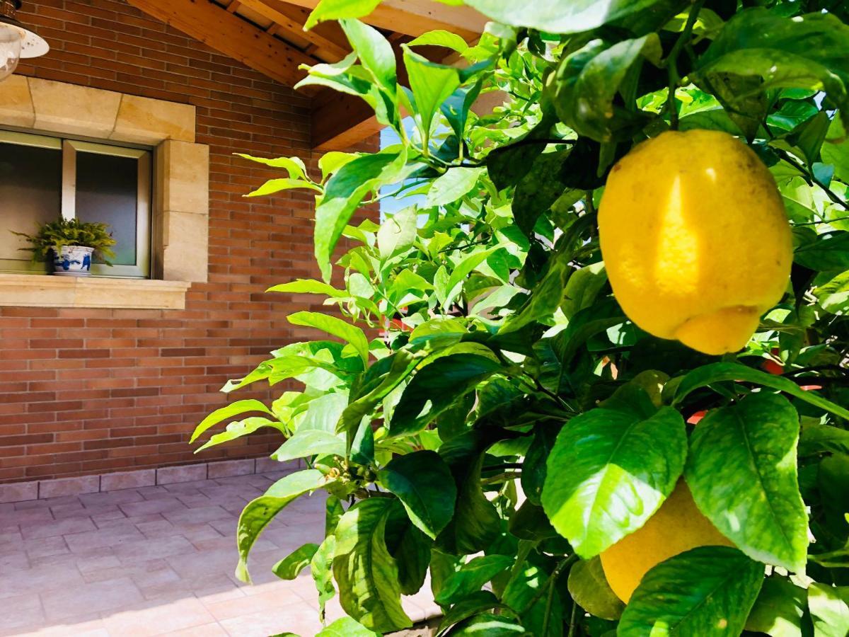 Chalet Con Piscina Privada!!! Altafulla Exterior foto
